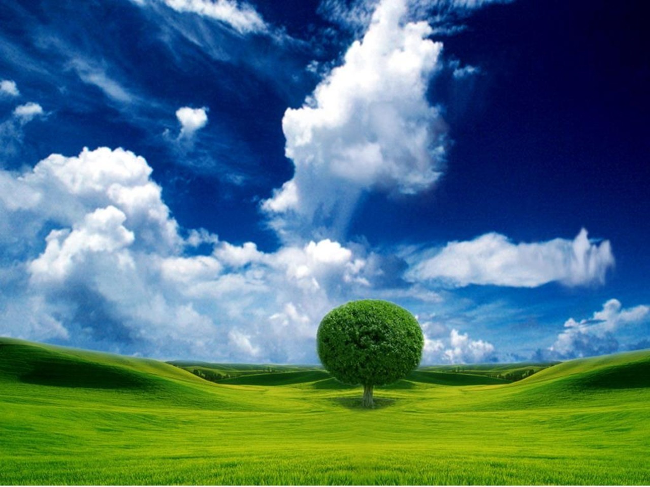 Amazing Nature Wallpapers - National Geographic Wallpaper (7897040) - Fanpop