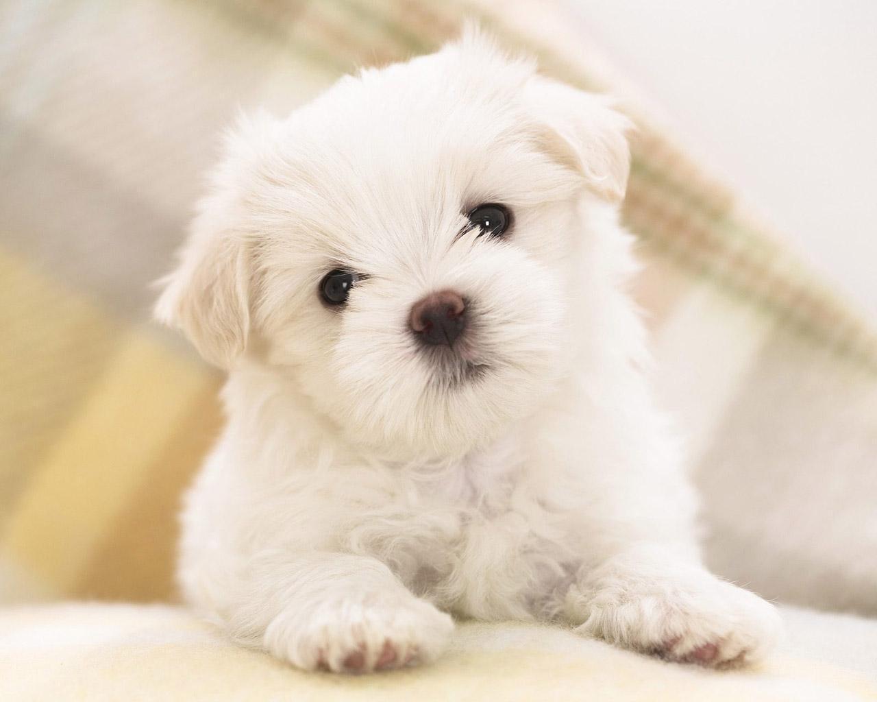 Cute Photos♥ (1.část) - Kateღ Blog♥ - Hryprodivky.cz