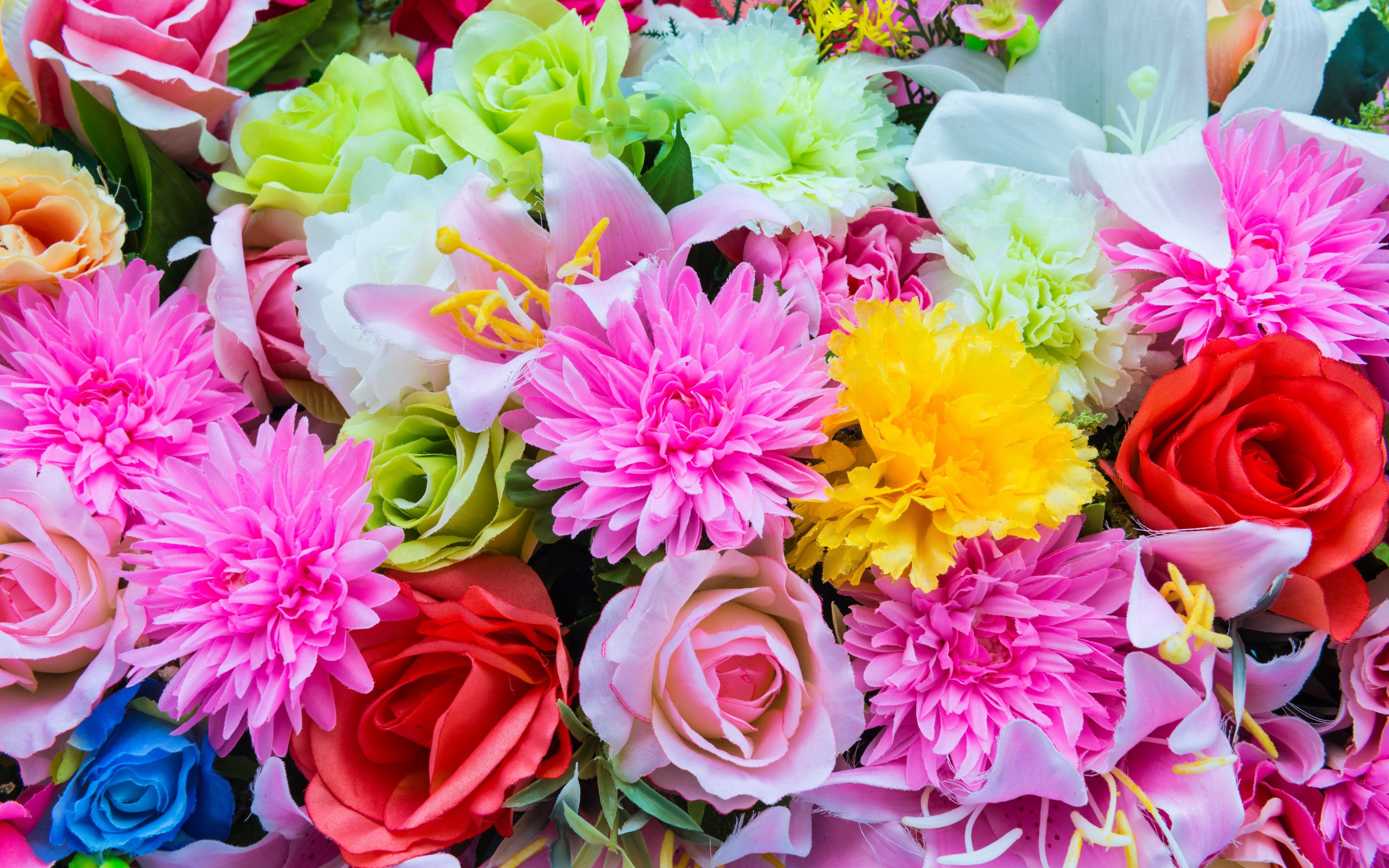 Download Spring Colorful Colors Nature Flower HD Wallpaper