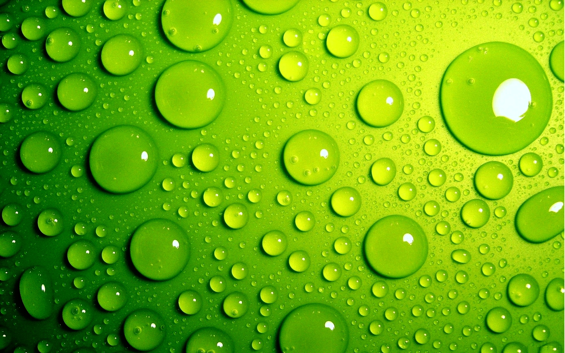 Green - Green Photo (31012786) - Fanpop