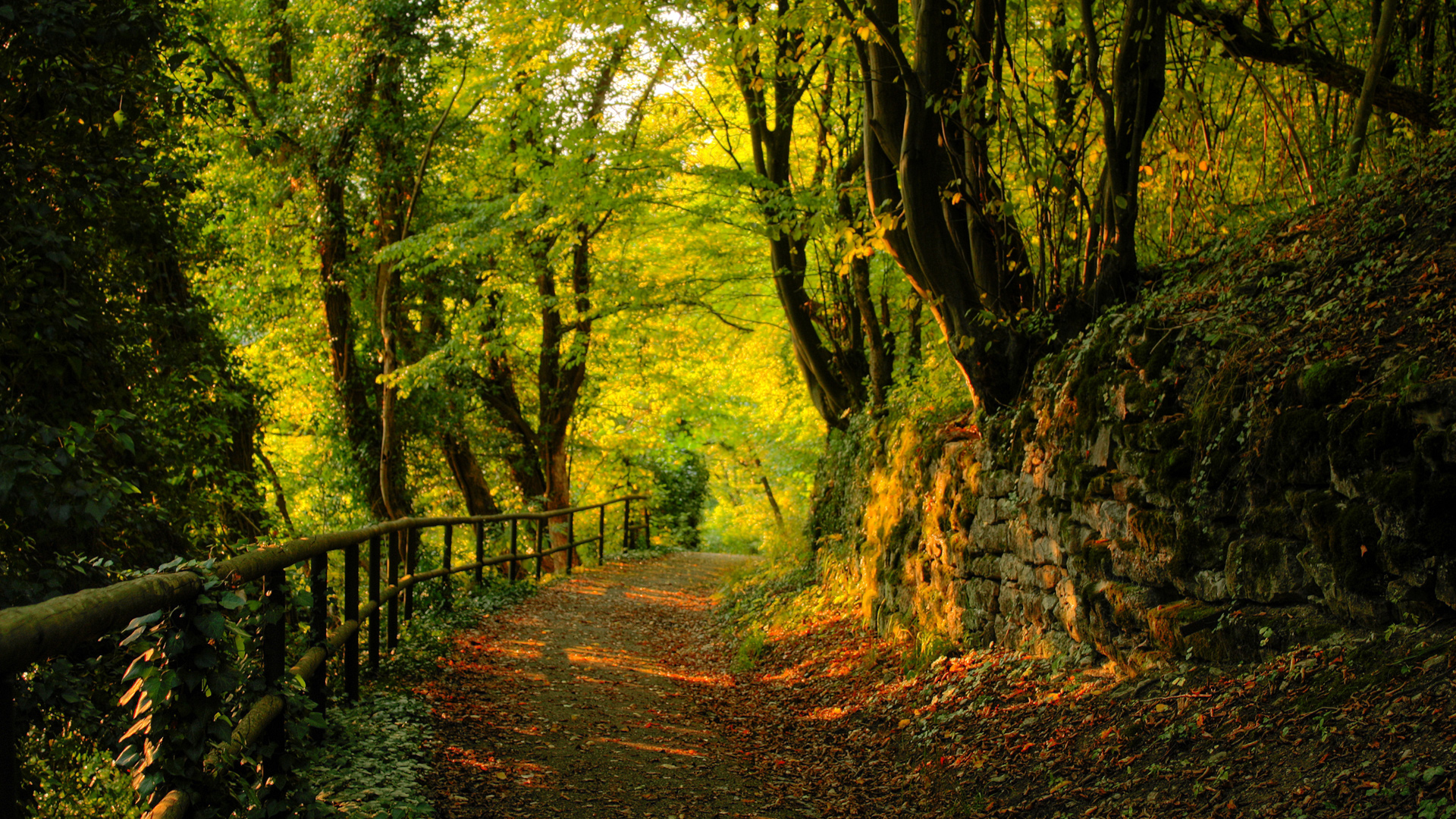 lovely nature.. - Random Wallpaper (31900183) - Fanpop