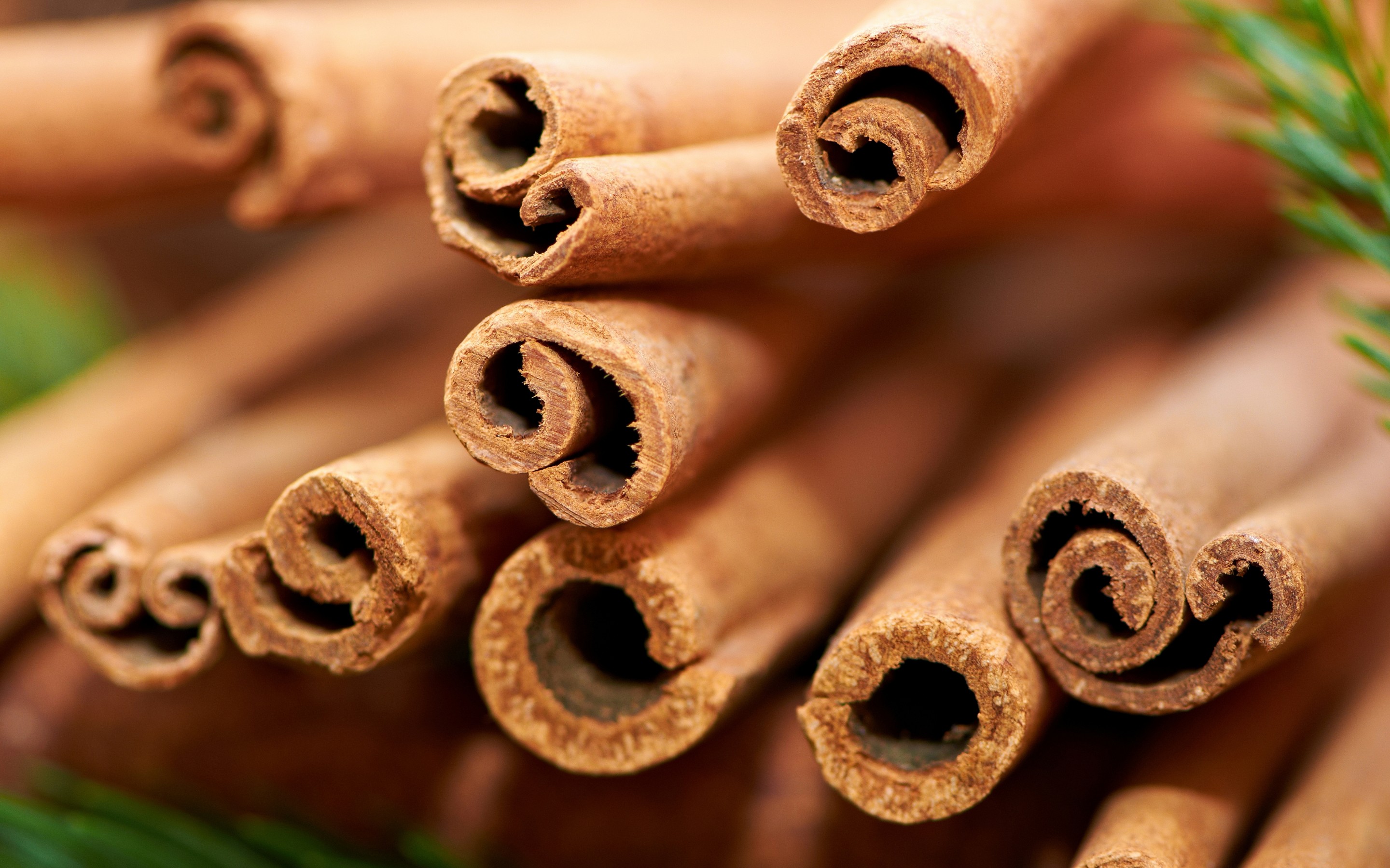 Health Benefits Of Cinnamon - Jayshree For You