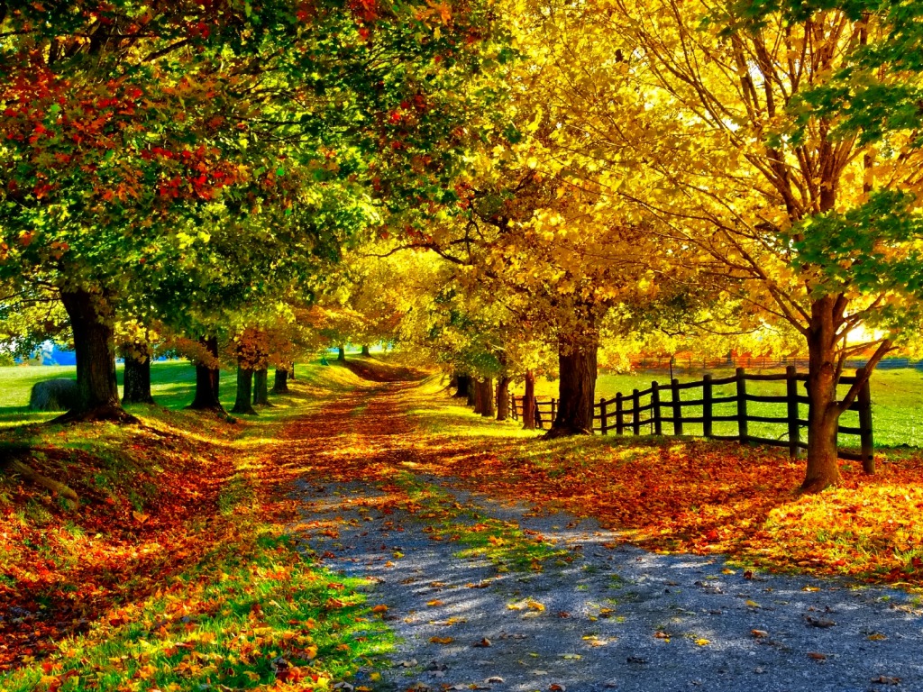 Fall Wallpaper - Cynthia-selahblue (cynti19) Wallpaper (35525310) - Fanpop