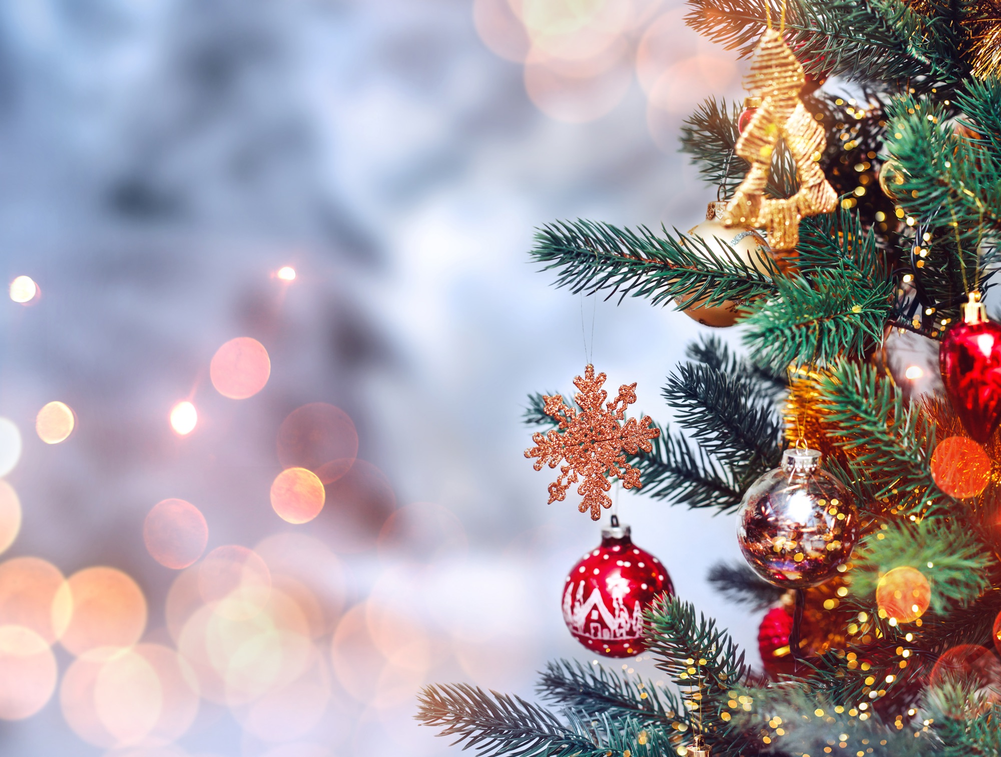 christmas - Christmas Photo (41669079) - Fanpop
