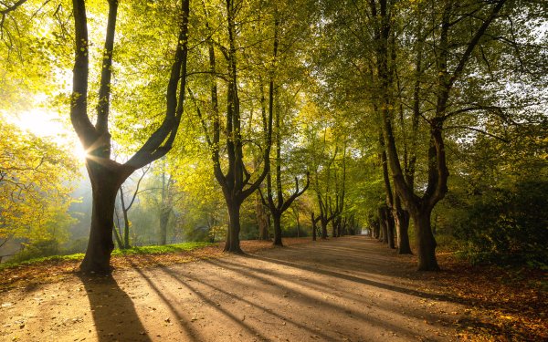 70+ 4K Ultra HD Park Wallpapers| Background Images
