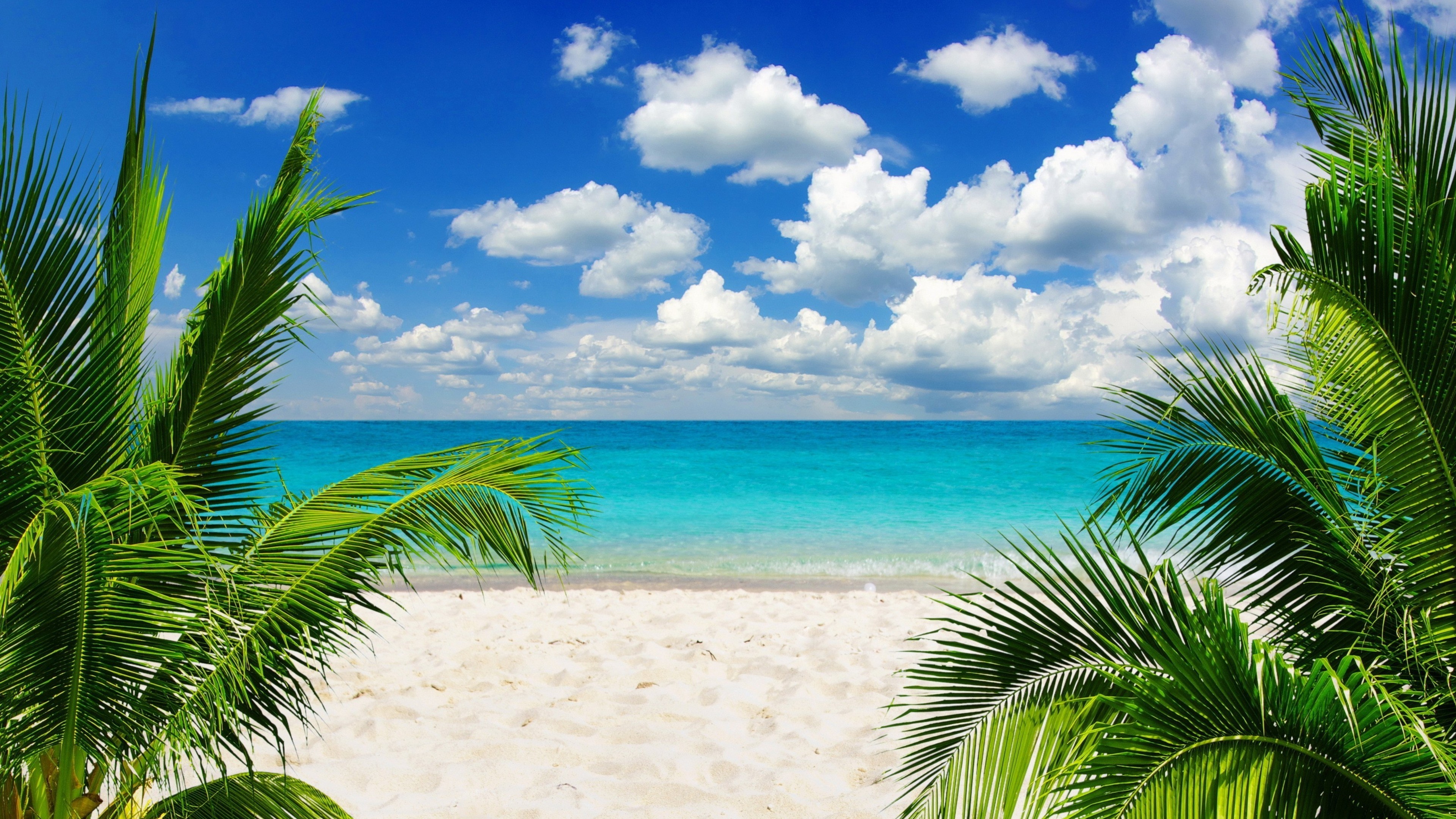Tropical Shore Bliss: 4K Ultra HD Wallpaper