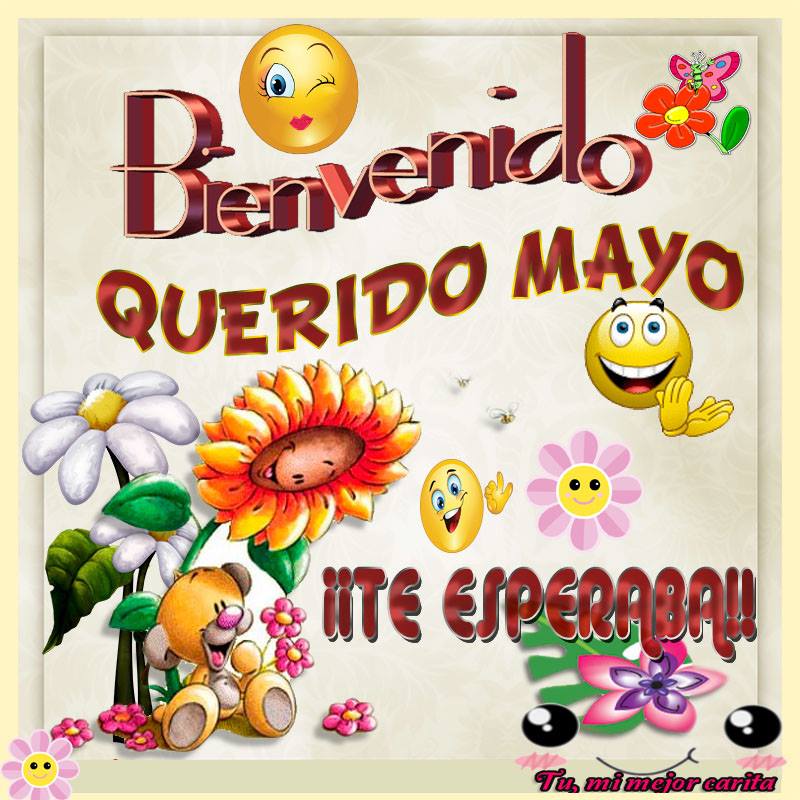 Top Imágenes De Mayo: Únicas Y Especiales - Imágenes Cool
