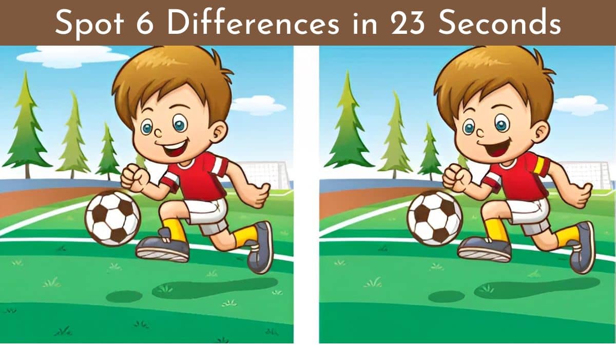 Spot The Difference: Can You Spot 6 Differences In 23 Seconds?