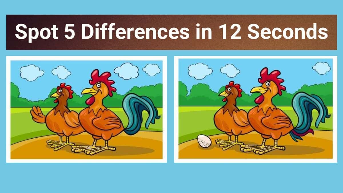 Spot The Difference: Can You Spot 5 Differences Between The Two Pictures In 12 Seconds?