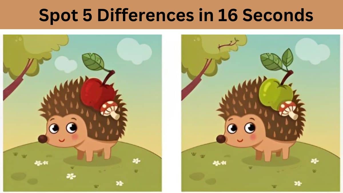 Spot The Difference: Can You Spot 5 Differences Within 16 Seconds?