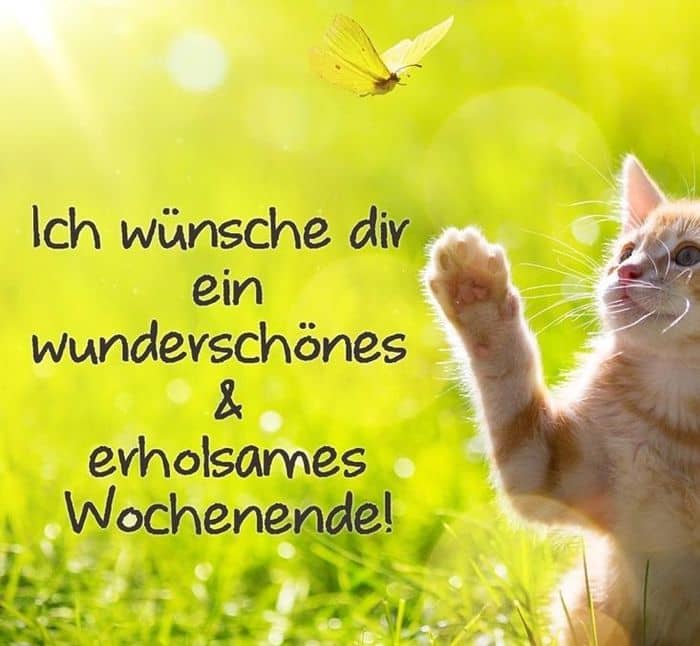 Sprüche Für Ein Schönes Wochenende| Sprüche Zitate