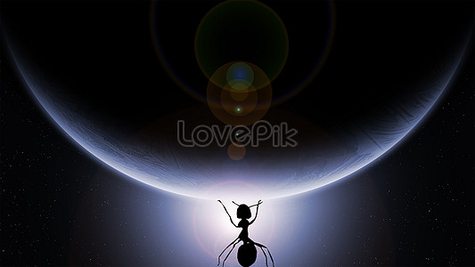 개미 이미지 _사진 401526537 무료 다운로드_lovepik.com