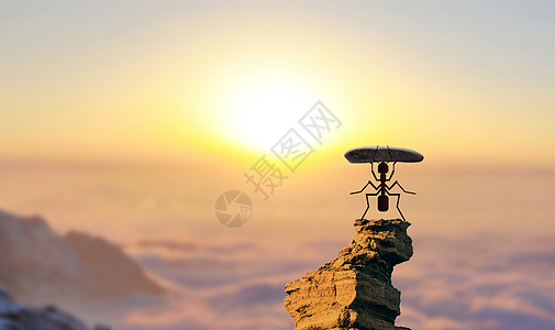 蚂蚁图片_蚂蚁素材_蚂蚁高清图片_摄图网图片下载