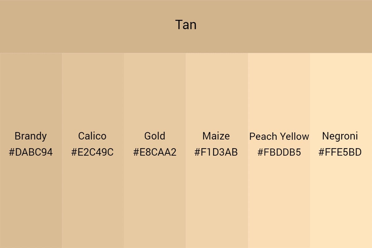 All You Need To Know About Tan Color: An Ultimate Guide