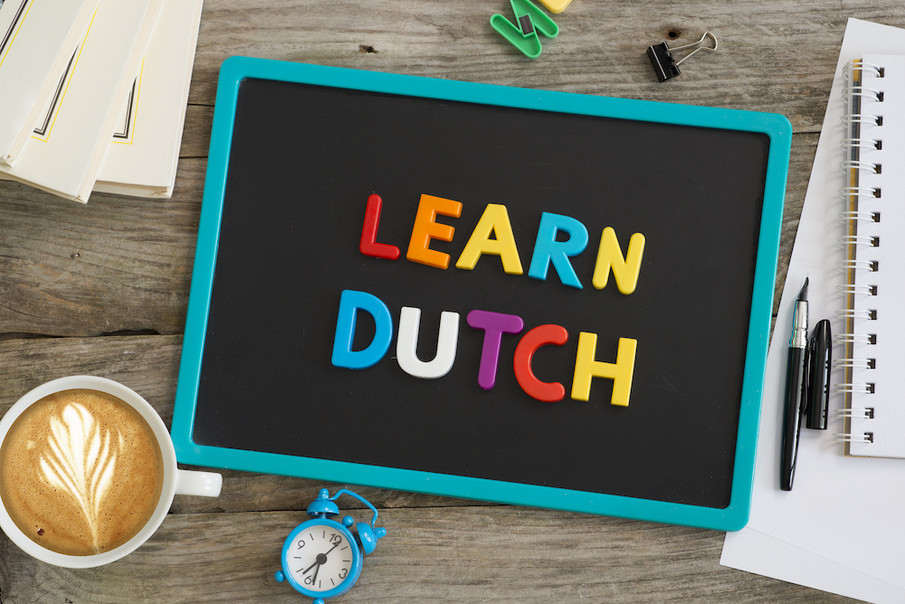 Reasons To Learn Dutch Q&A - International Locals