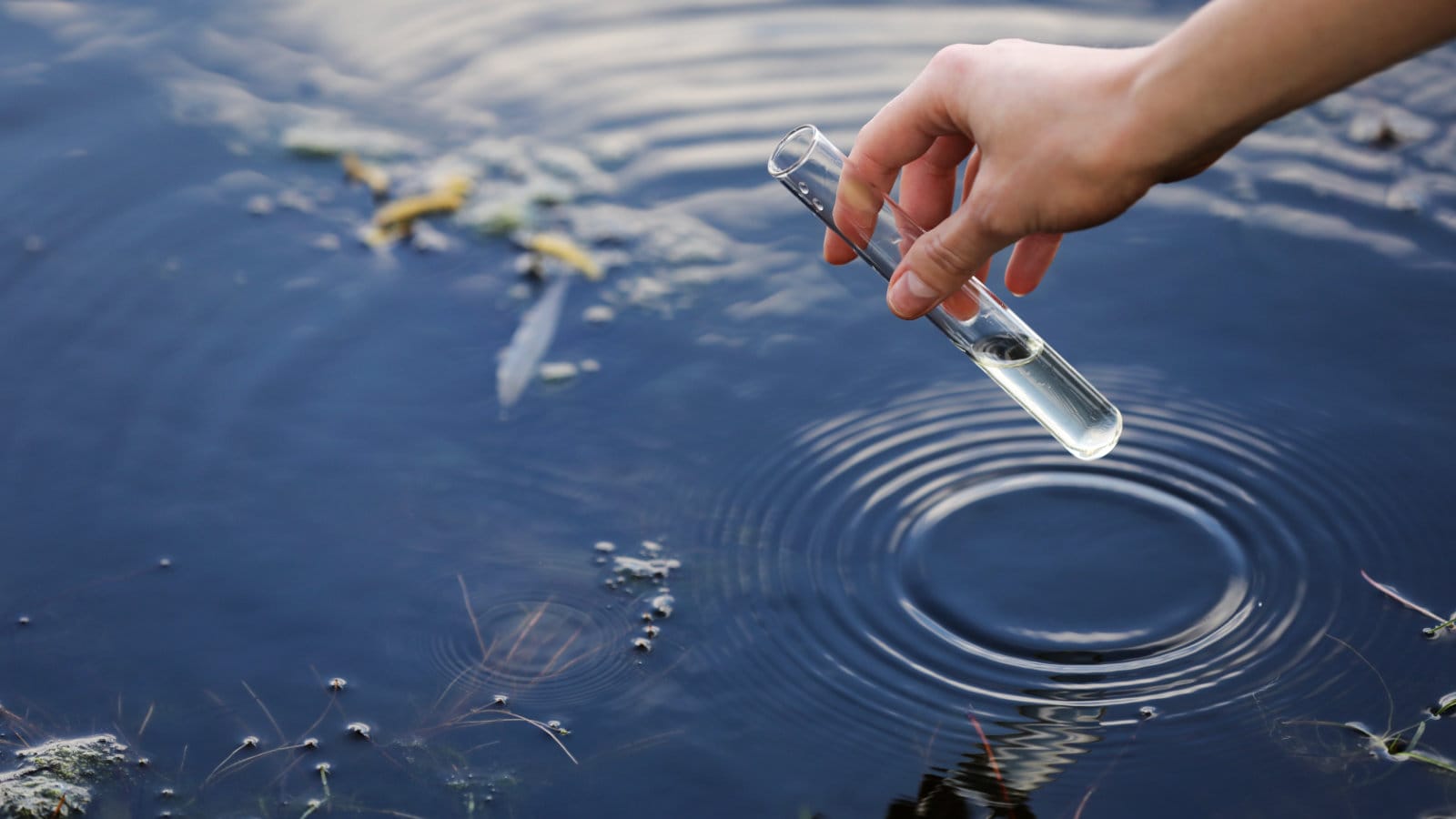 Water Quality Definition In English - Infoupdate.org