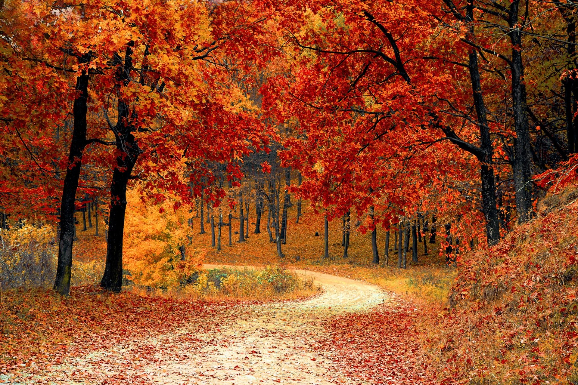 Happy First Day of Fall!
