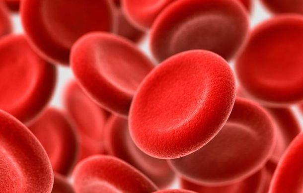10 Interesting Facts About Blood And Its Regular Functions