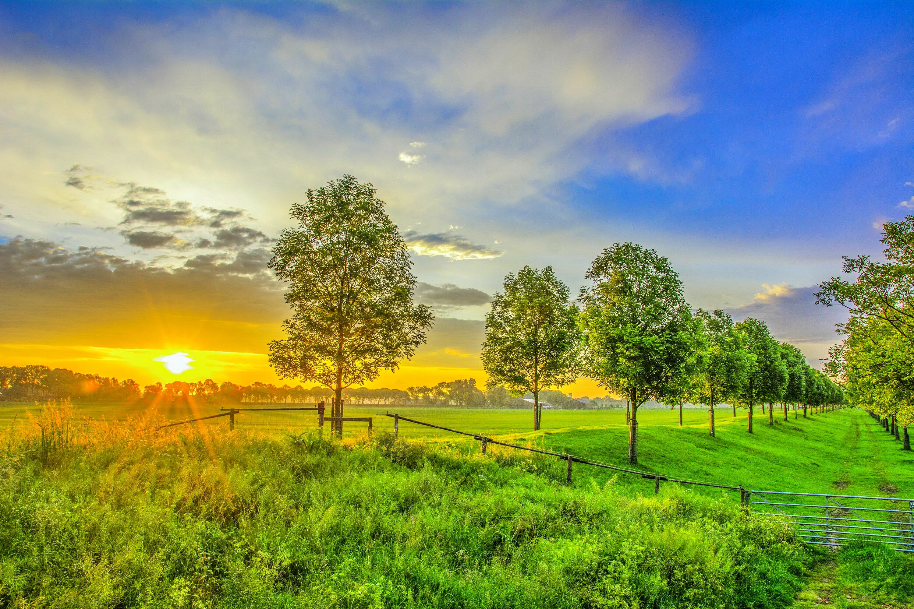 Landscape Photography Of Maple Trees Hd Wallpaper Wal - vrogue.co