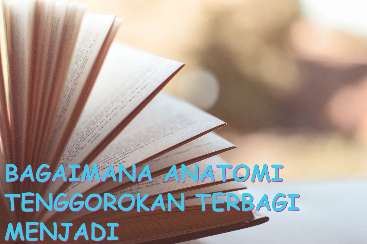 Bagaimana Anatomi Tenggorokan Terbagi Menjadi Beberapa Bagian? - Katalistiwa
