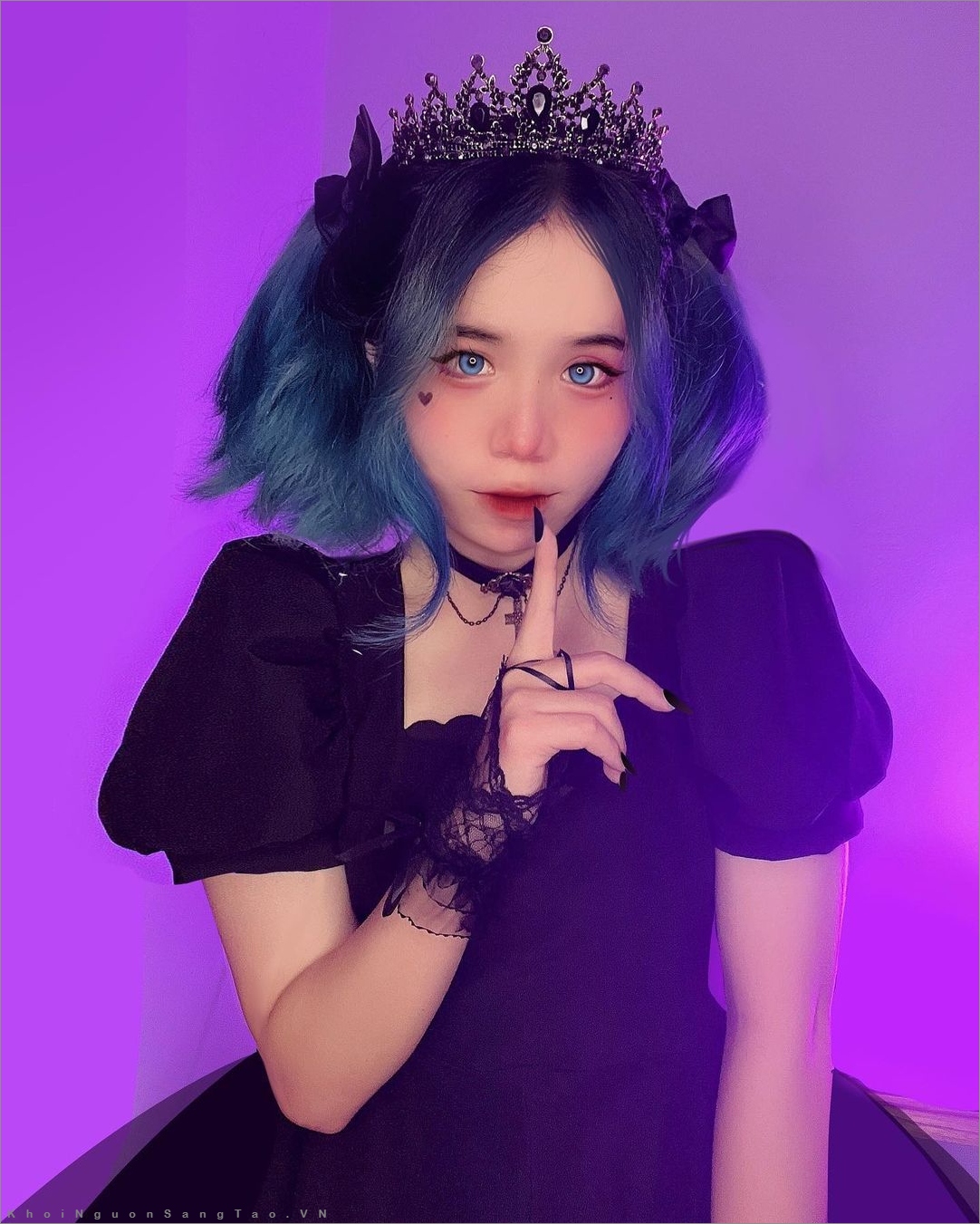 Mẫu Mới Mèo Simmy Xinh đẹp đang Lên Ngôi Trên Instagram