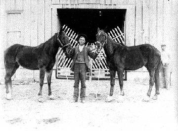 Pioneers – Langford Family - Historical Roots