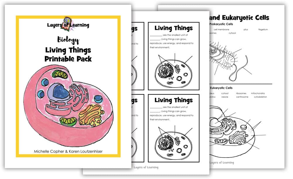 Living Things PDF - Layers Of Learning