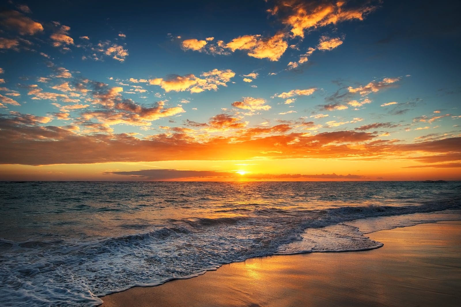 [DIAGRAM] Diagram Of Sunrise FULL Version HD Quality Of Sunrise - MYDIAGRAM.ONLINE