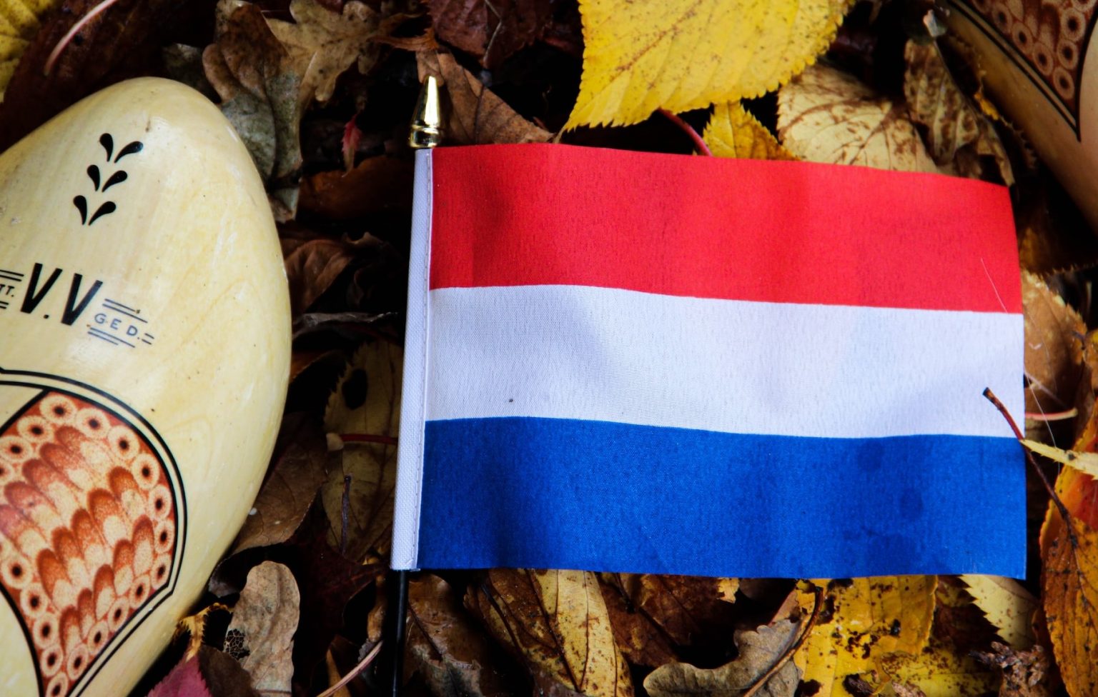 Is Dutch Hard To Learn? (9 Things You Can Expect)