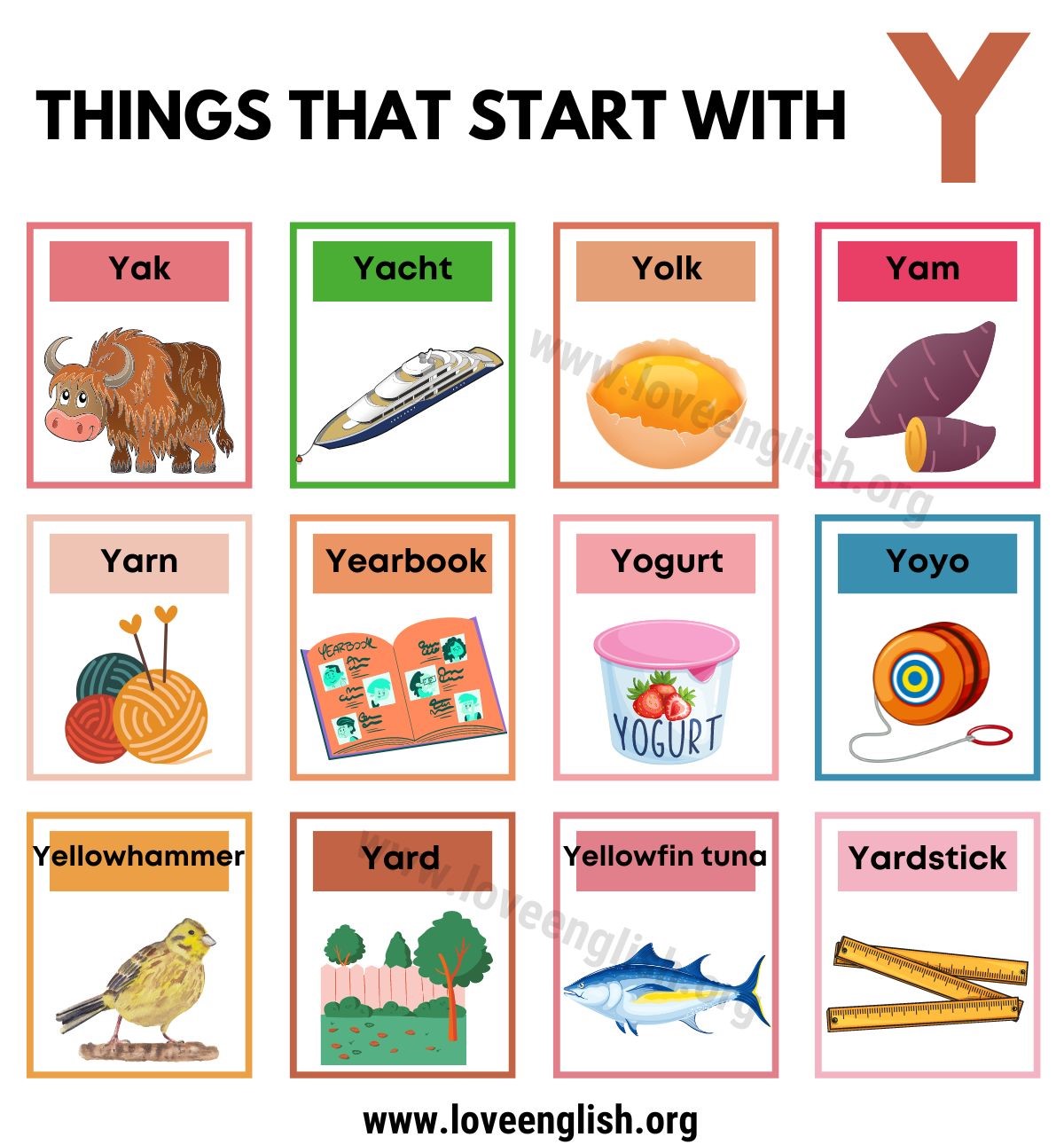 25 Fabulous Examples Of Things That Start With Y - Love English