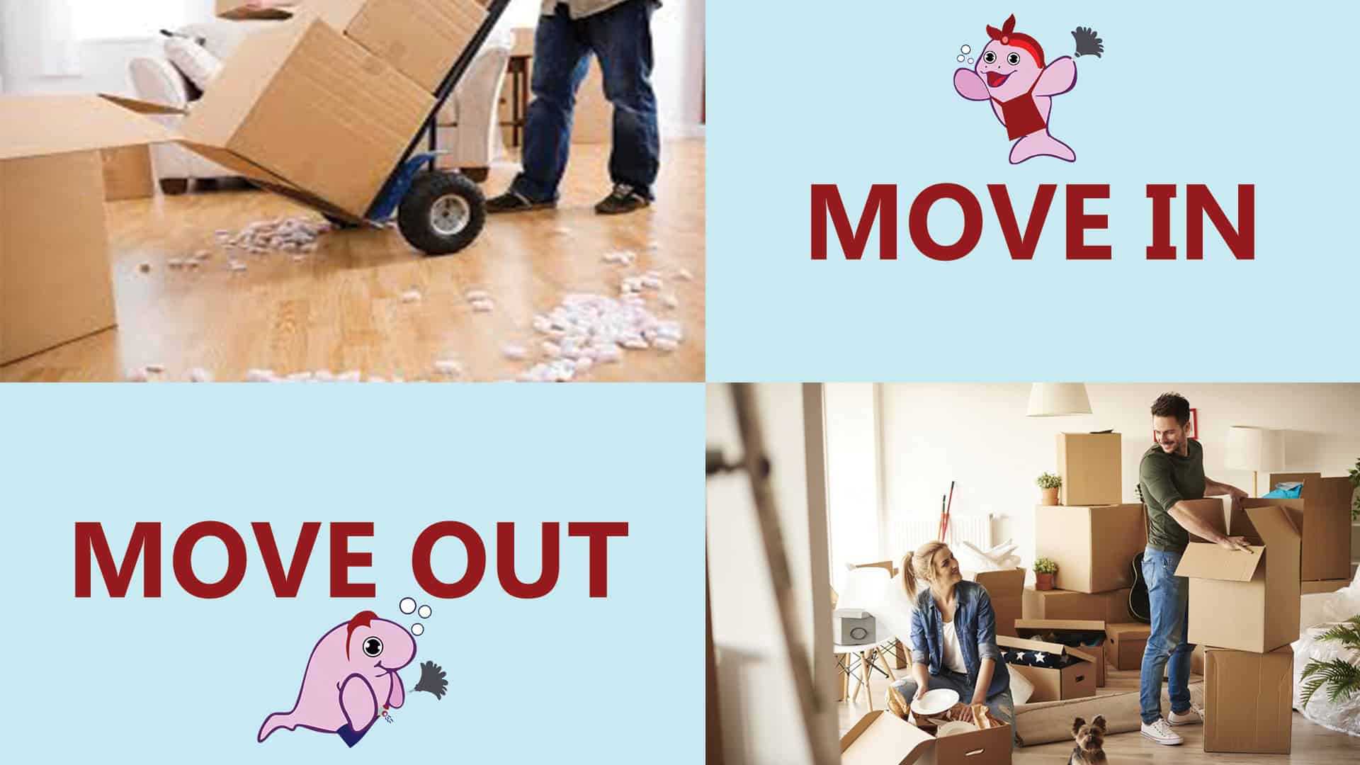 Seamless Transitions: Move-In/Move-Out Cleaning