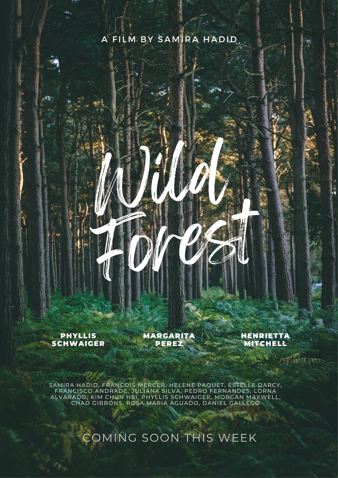 Movie Poster Design Credits