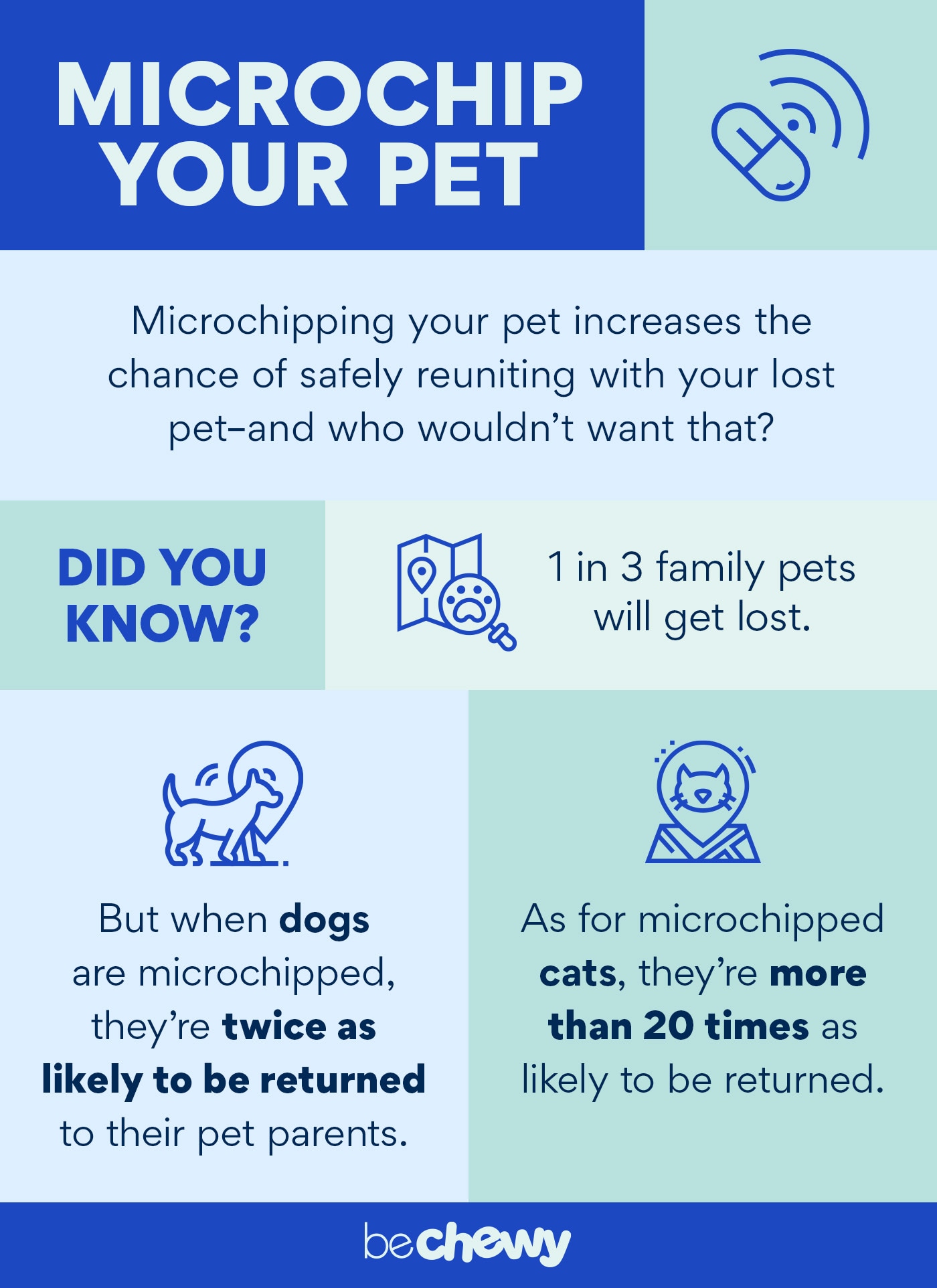 Facts About Microchipping Your Pet at Timothy Jeffords blog