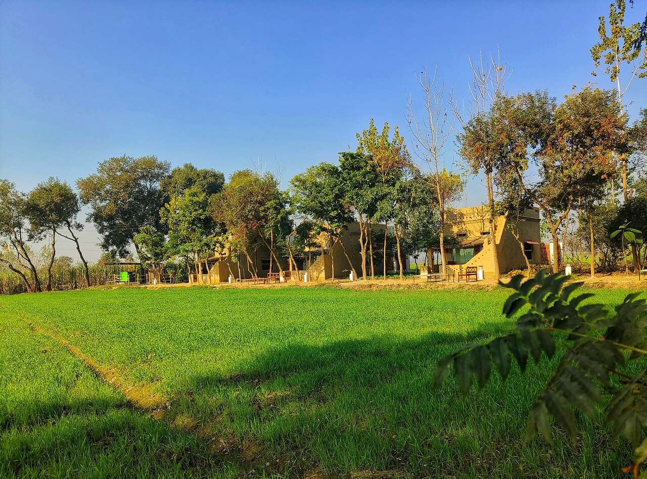 Incredible Compilation Of 999+ Village Images In Stunning 4K