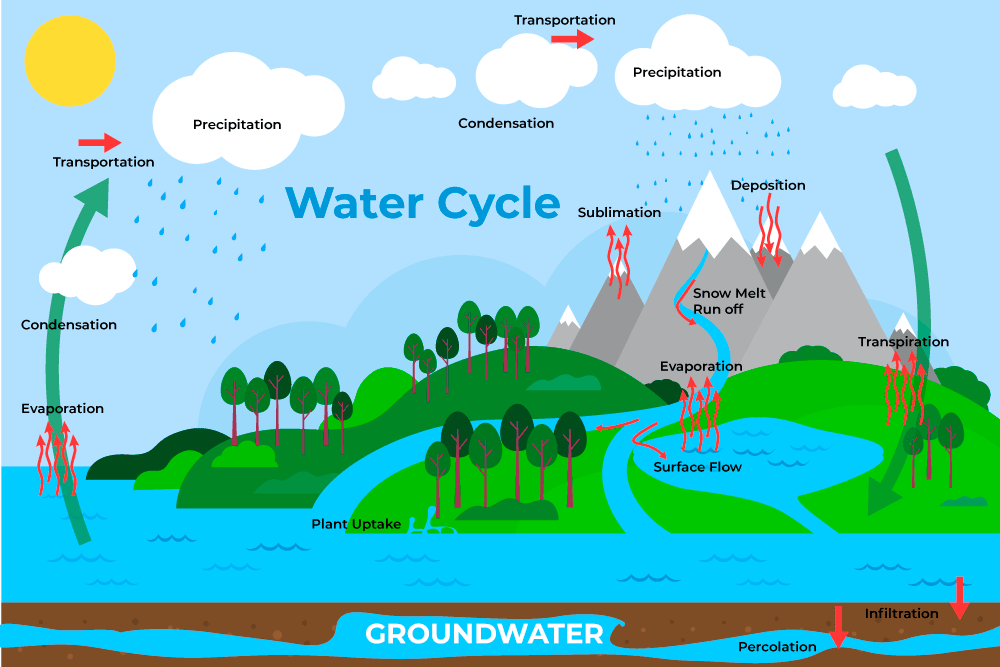Diagram of Water Cycle - GeeksforGeeks