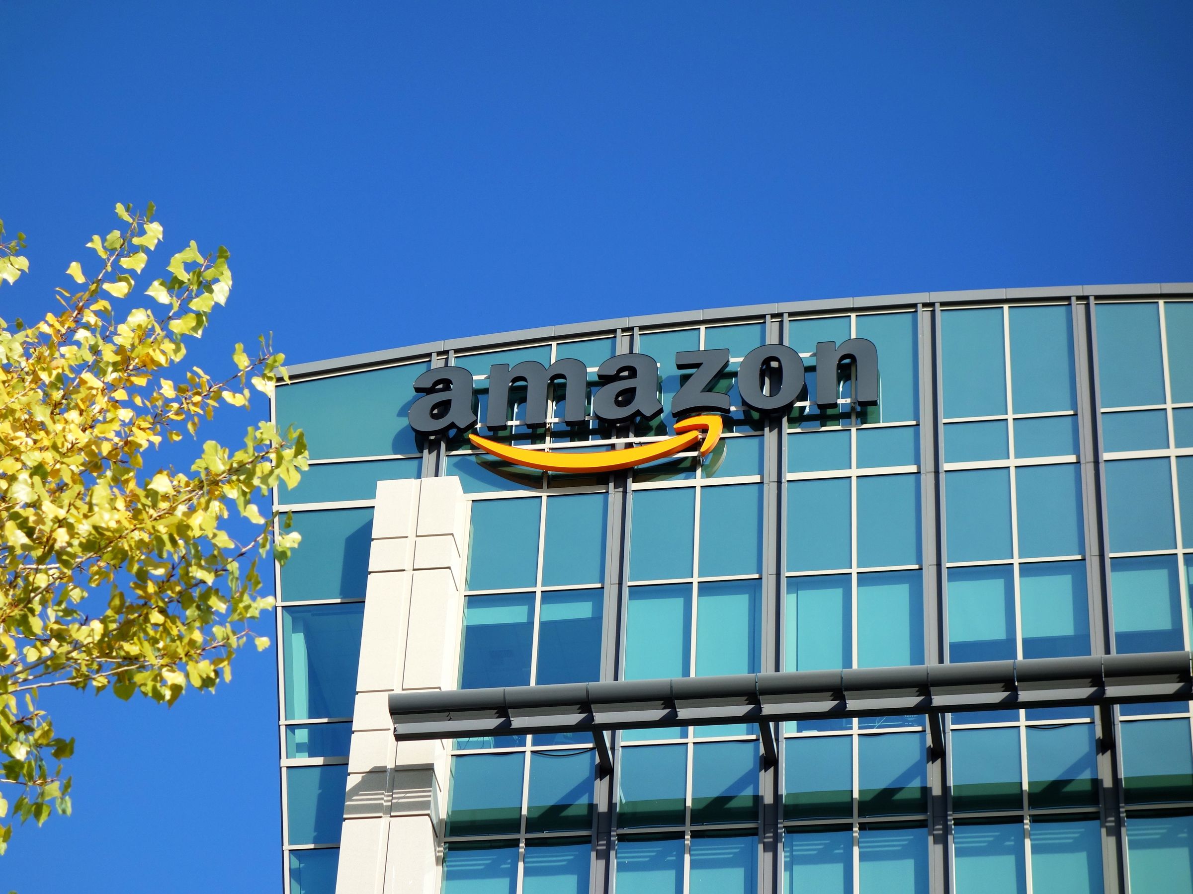 Amazon Expanded Its Empire—And Its Place In Society| WIRED