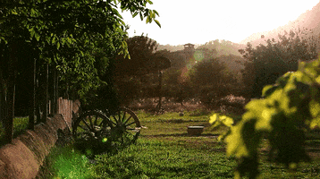Progressive Charlestown: Attention gardeners and farmers