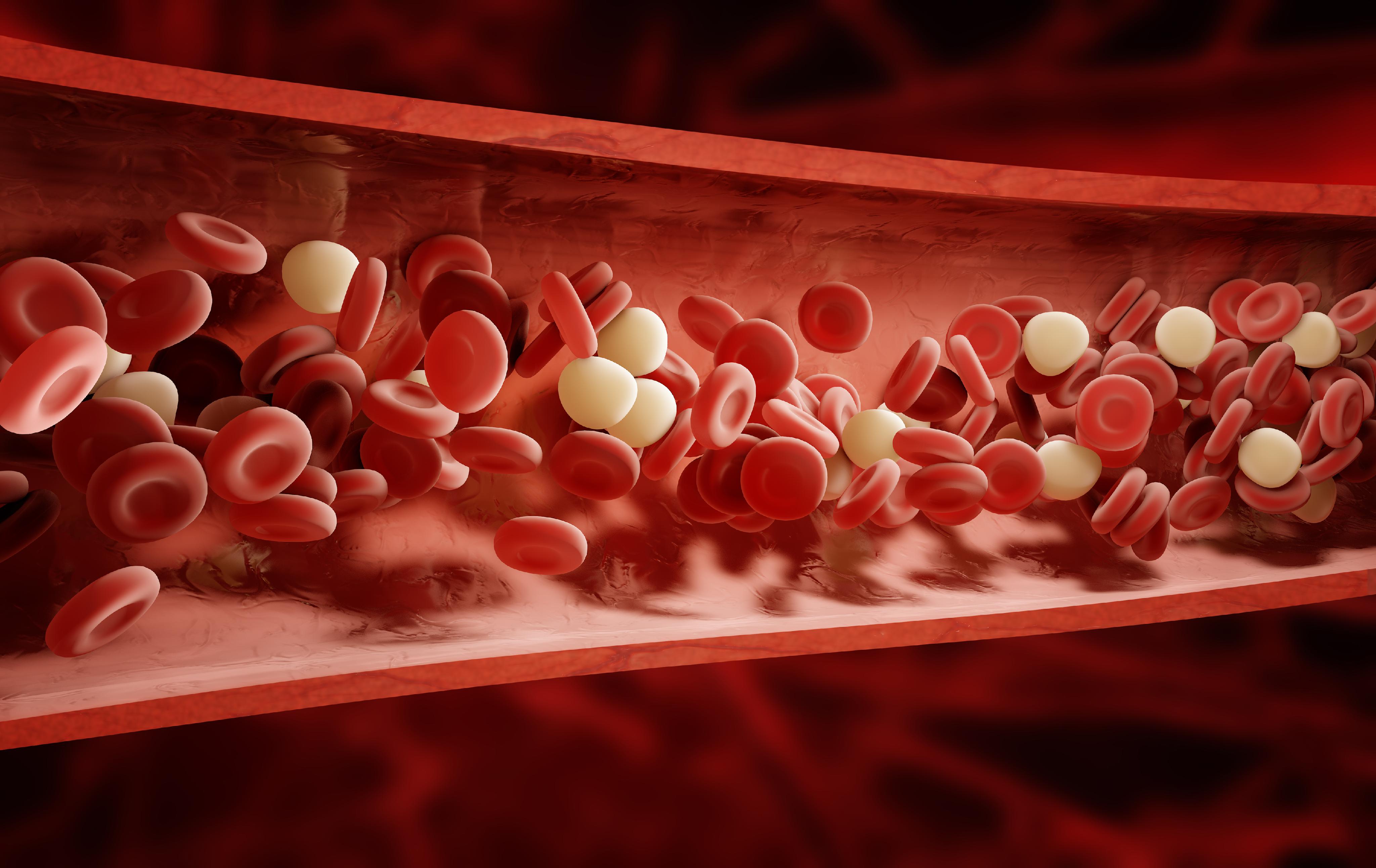 Blood| MedlinePlus