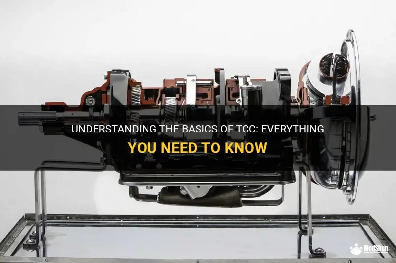 Understanding The Basics Of Tcc: Everything You Need To Know | MedShun