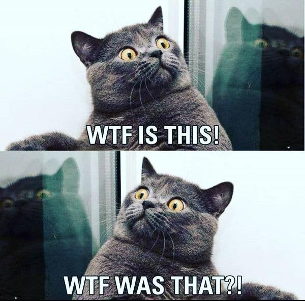 35 Most WTF Meme - Meme Central