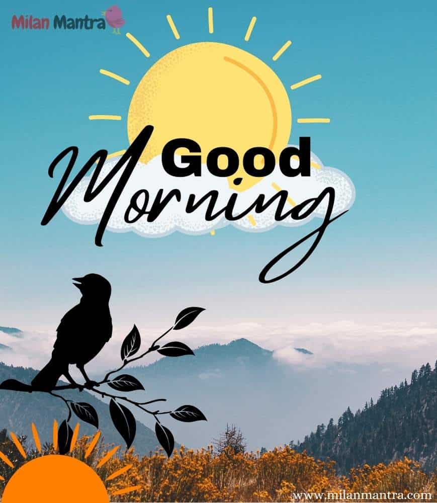 Good Morning Wallpapers New - Infoupdate.org