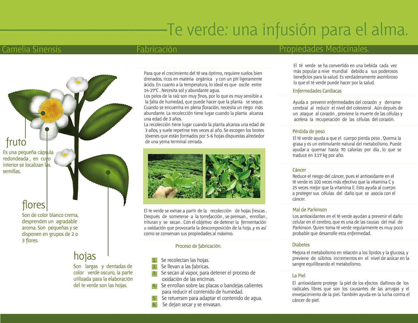 Flyers On Behance