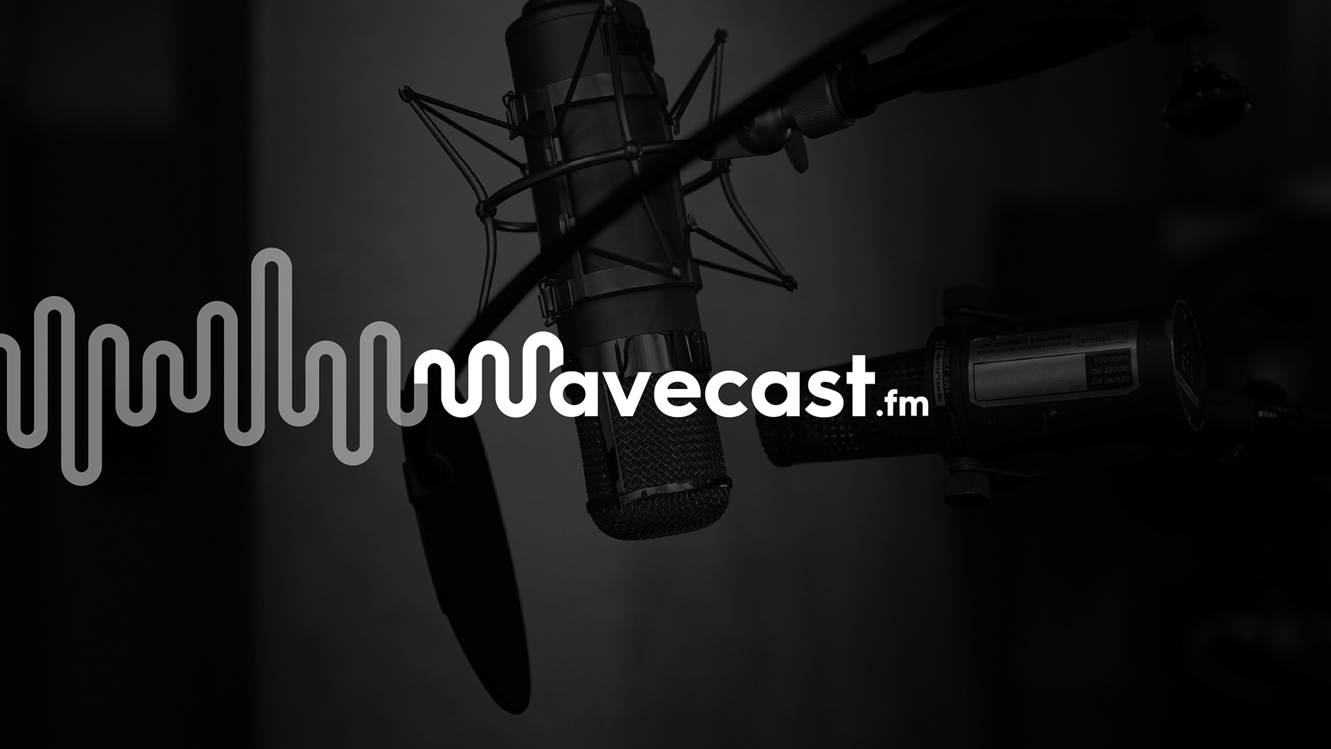Wavecast Branding On Behance