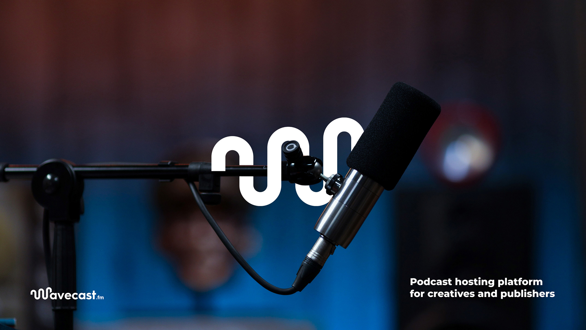 Wavecast Branding On Behance