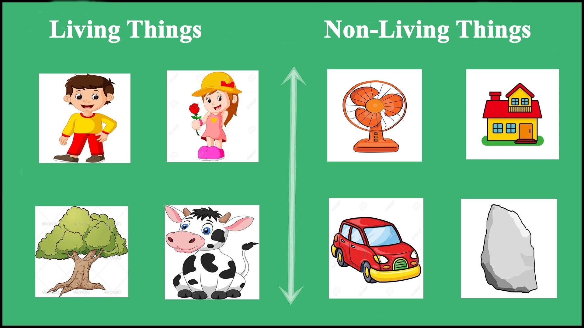 Living Things Non Living Things