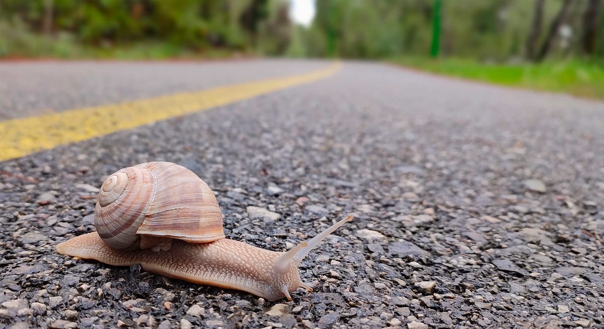 My Developers Are Too Slow. If You Work In A Company At The…| By Sebastian Galonska| Medium