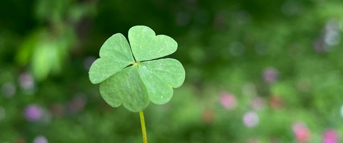 HOW TO BE LUCKY. YOUR SUCCESS IS NOT UP TO CHANCE| By Anna Grace Roth| Medium