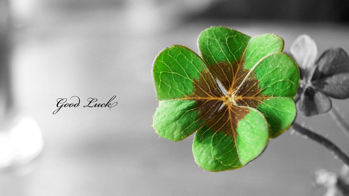 How Lucky We Are. Have You Ever Wondered How Lucky We…| By Bad Writer| Medium