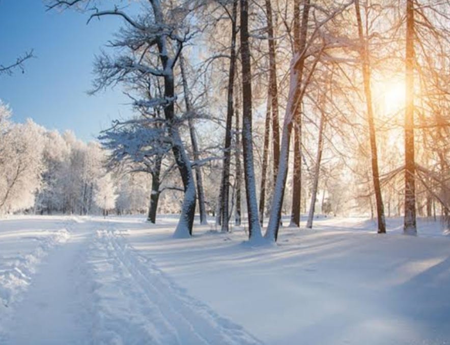 My Last Winter Vacation. Winter is a very pleasant season but… | by Manisha Namata | Medium