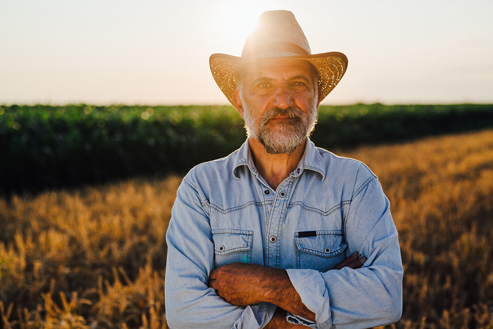 Link Building Strategies For Farmers - Muffin Marketing